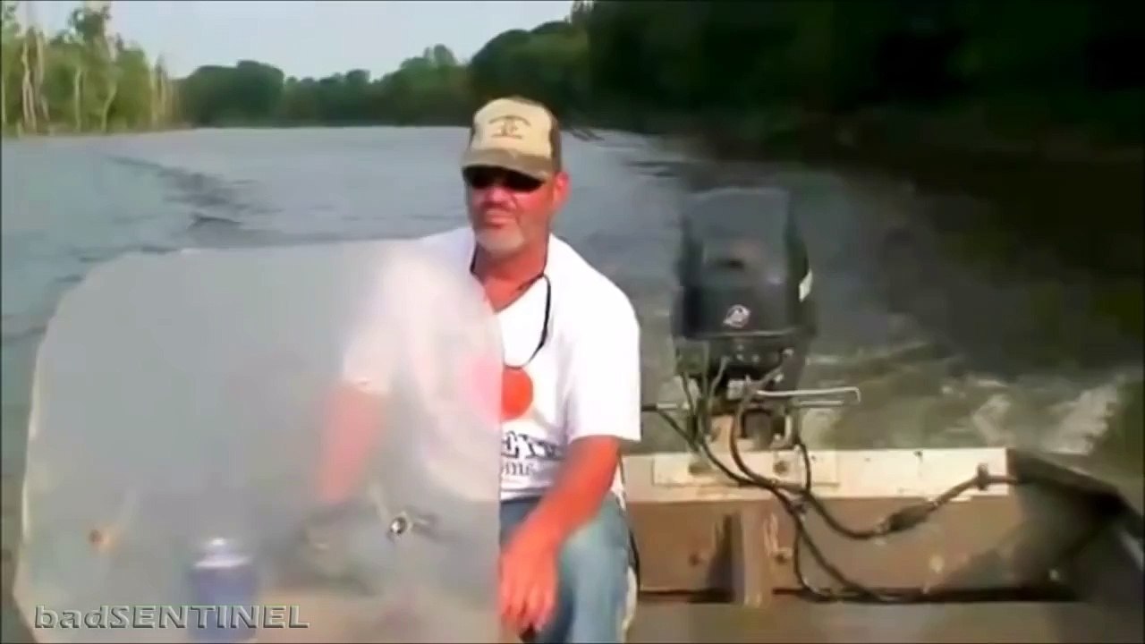 Best Animal Thug Life Videos of the Week