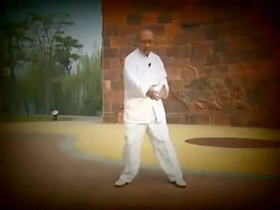 Tai Chi Yang