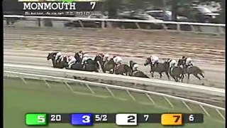 Horse Race With Funny Names