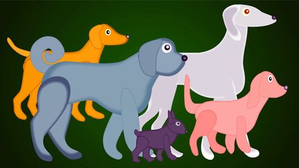 Dog & Puppy Finger Family ♦ Daddy Finger Song for Children, Kids and Toddlers