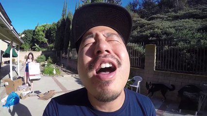 This My Life: Girls In Bikinis