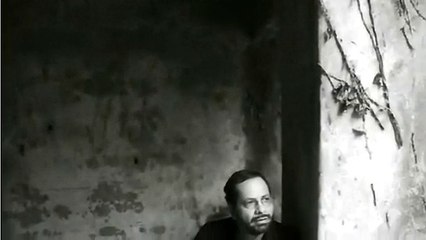 nadie te ama como yo