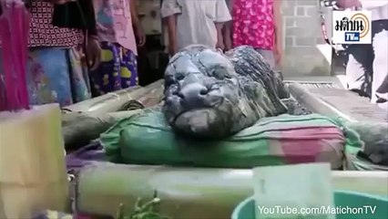 EXTRAÑA CRIATURA ENCONTRADA EN TAILANDIA (360p)