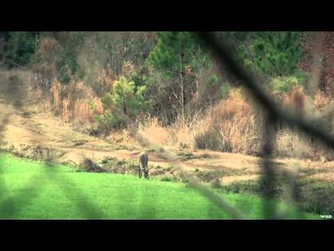 Headhunter's TV - Headhunting Louisiana