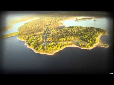 Fly Nation - The Old Post