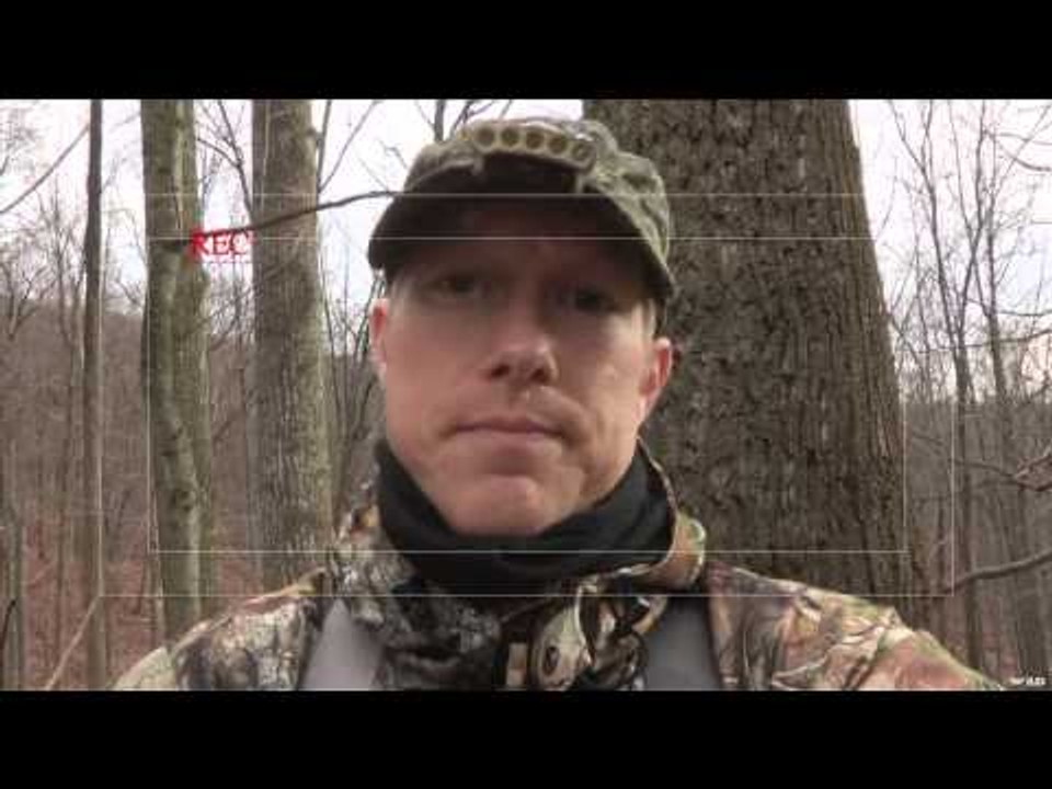 Hollywood Hunter - The No Show