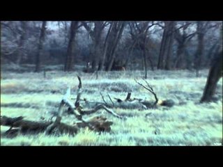 Realtree Outdoors - Kansas/Dodge City