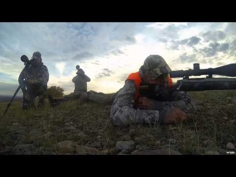 Long Range Pursuit - Long Range Mule Deer in Western Lands Year 3