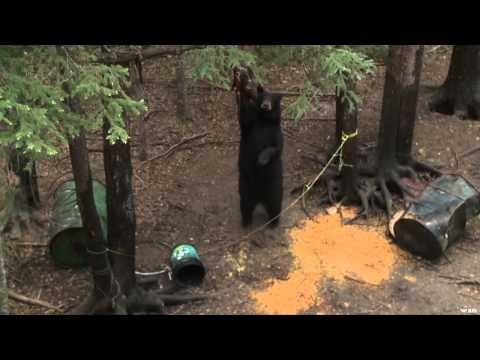 FOXPRO Furtakers - Pennsylvania