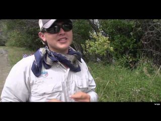 In the Loop - Cabins WV, Harmons North Fork Mini comp