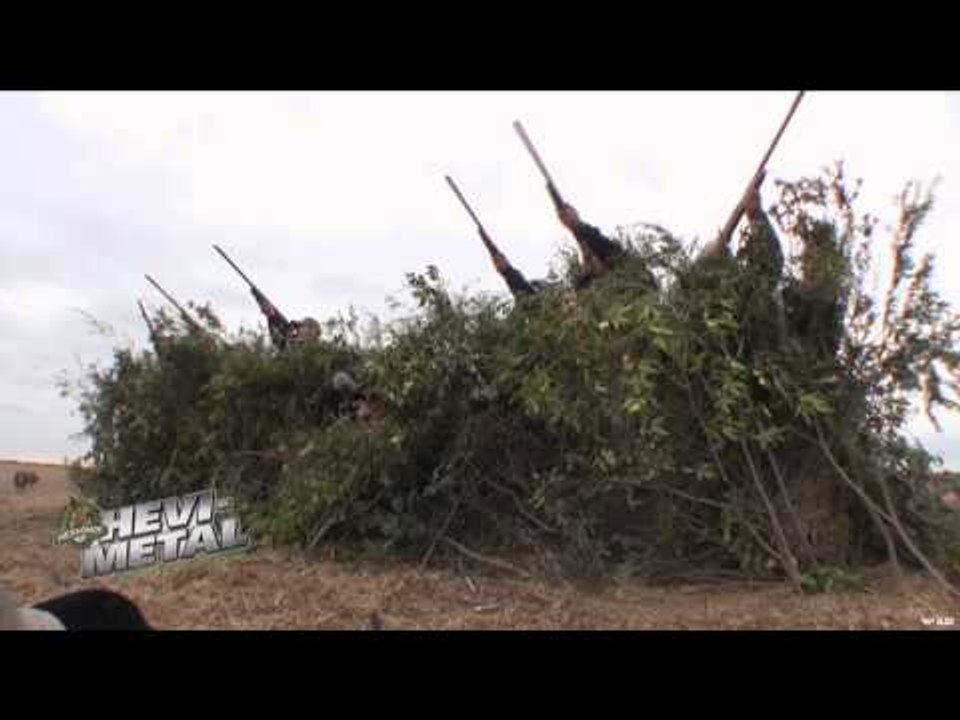 Team Fall Brawl TV - Mixed Bags in Alberta