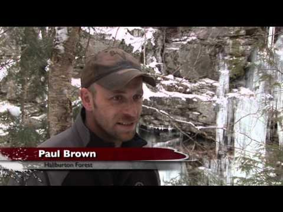Snowmobiler TV - Haliburton County