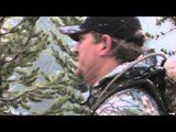 Outfitters Guide Television - Bear Family Affair - Part 1