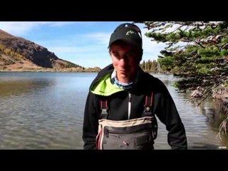 Fly Nation - Golden Trout