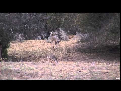 Steve's Outdoor Adventures - Ulukhaktok Adventure Part Two