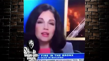 Really nigga vine compilation