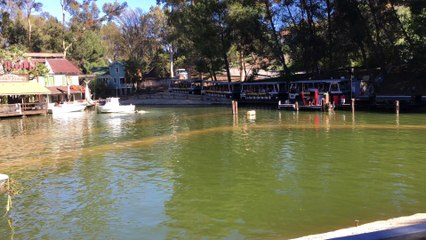 JAWS 4K VIDEO IPHONE 6s PLUS