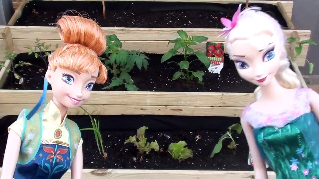 Dingle, dangle scarecrow- learn English with Frozen, canciones fáciles en inglés para niños