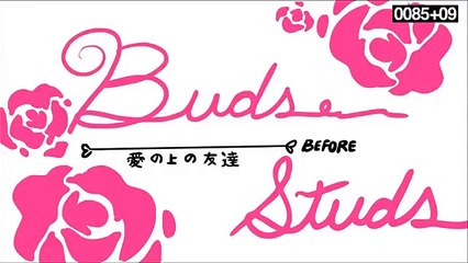 Harvey Beaks Buds Before Studs Animatic