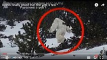Footage Taken Of Spanish Yeti Abominable Snowman In Pyrenees, Formigal Ski Resort