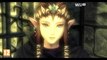 The Legend of Zelda : Twilight Princess HD - Bande-annonce des fonctionnalités