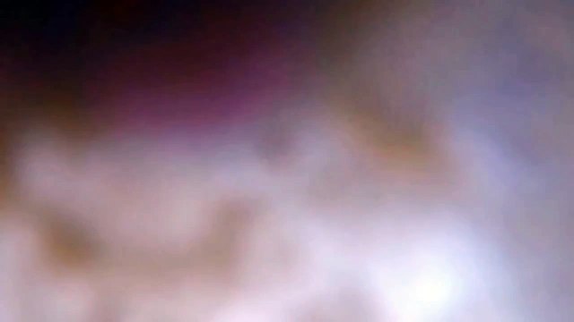 Dog Licks Peanut Butter off GoPro