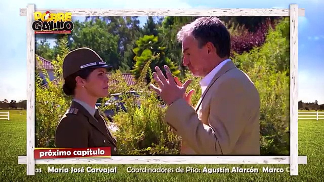 28 Avance-Pobre Gallo