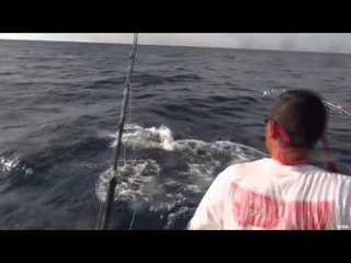 Maximus Outdoor Adventures - Moose & Marlin