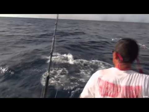 Maximus Outdoor Adventures - Moose & Marlin