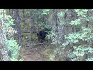 Realtree Outdoors - Wyoming, Montana, South Dakota