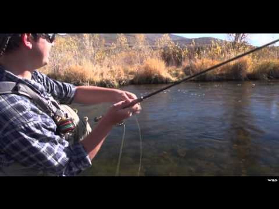 In the Loop - Provo River with Lance Egan