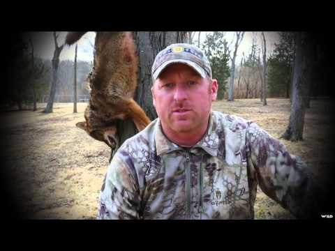 Dead Dog Walkin' - Nashville Song Dogs Pt.1