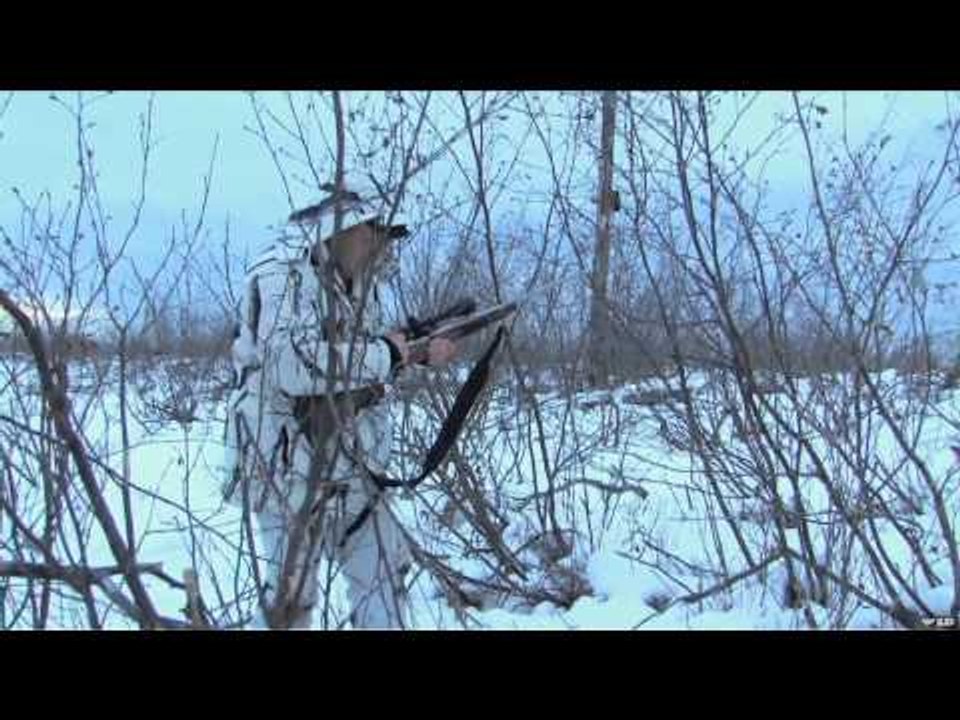 The Hunting Chronicles - Winter Whitetails