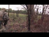 Relentless Pursuit  - Mozambique Devil's Horn