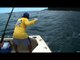 Cabela's Ultimate Adventures - Panama Marlin