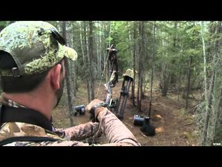 The Choice  - Bear N' Down Big Time