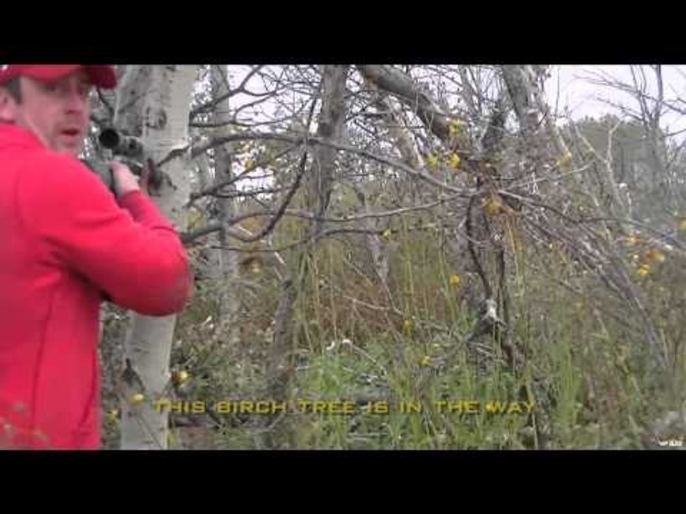 Maximus Outdoor Adventures - Bear & Moose