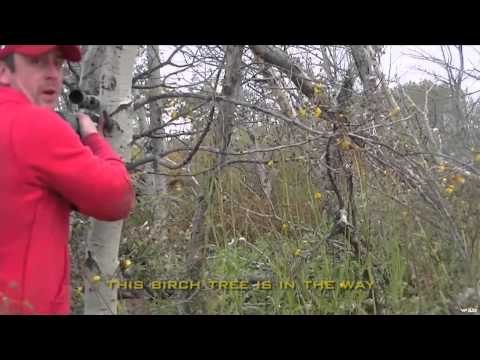 Maximus Outdoor Adventures - Bear & Moose