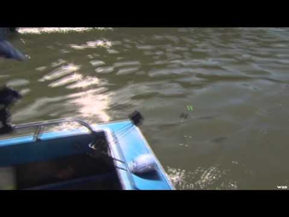 Nice Fish Sr. - Fraser River Adventure