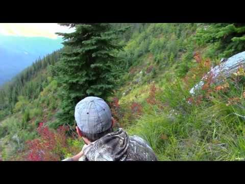 The Search - The Search is On!