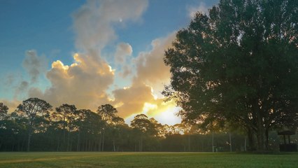 Okeechobee Music & Arts Festival Site Preview