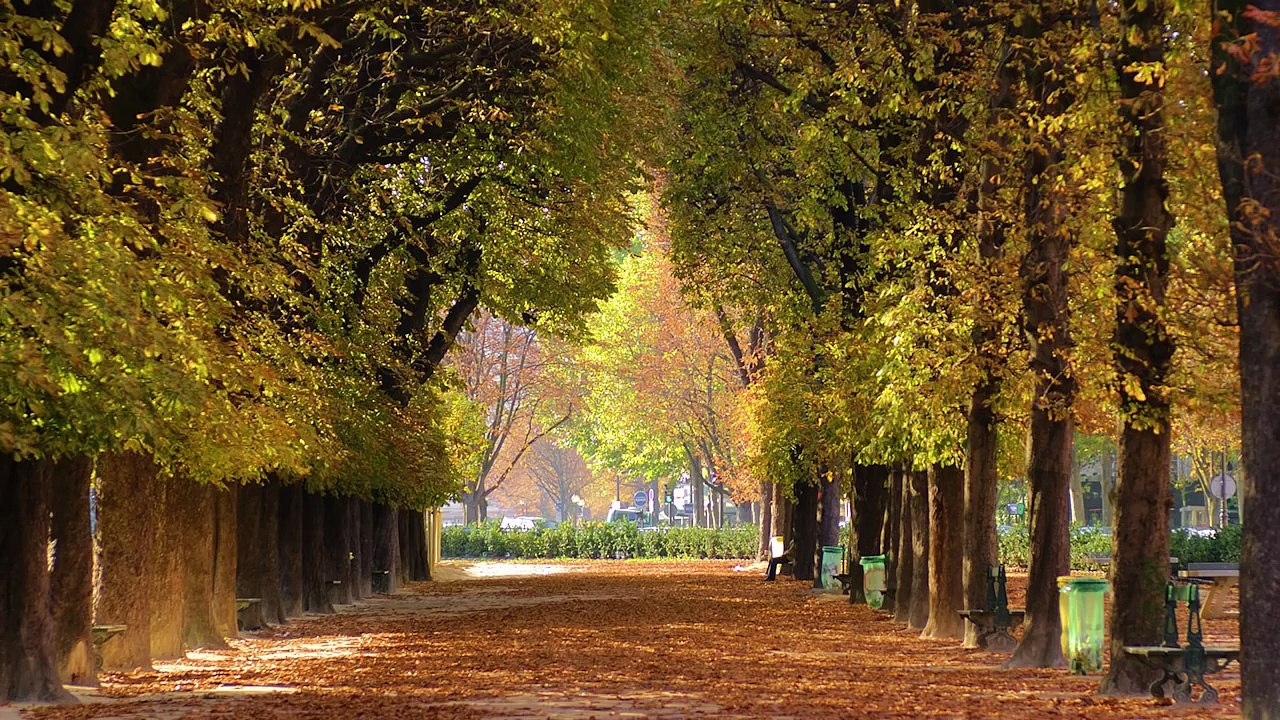 Relaxation: Relaxing Nature Sounds and Tibetan Chakra Meditation Music for Relaxation Medi