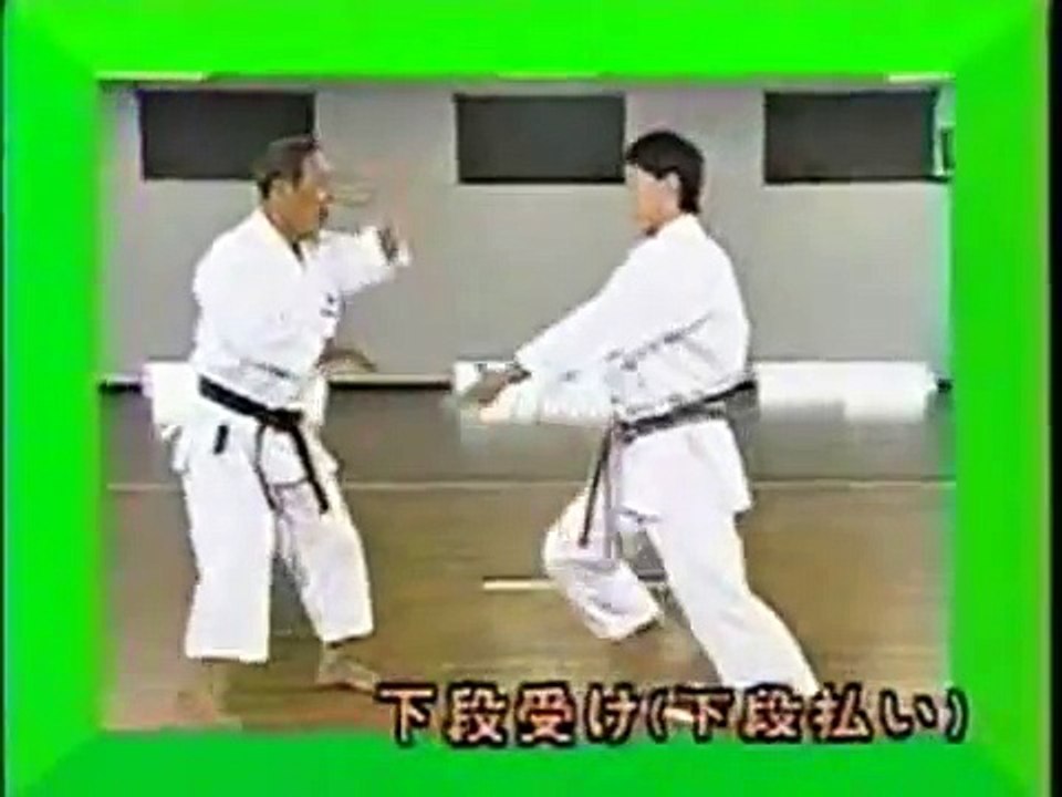 Uke Waza de Karate Do