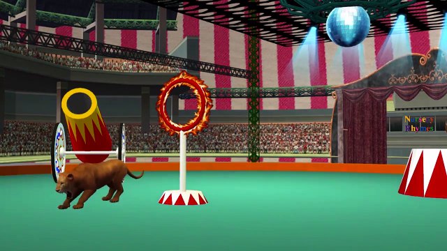 Dinosaurs Vs Godzilla Cartoons And Lion Vs Tiger Singing Finger Family Children Nursery Rhymes