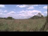 Relentless Pursuit  - Blind Hog Mozambique Part 2