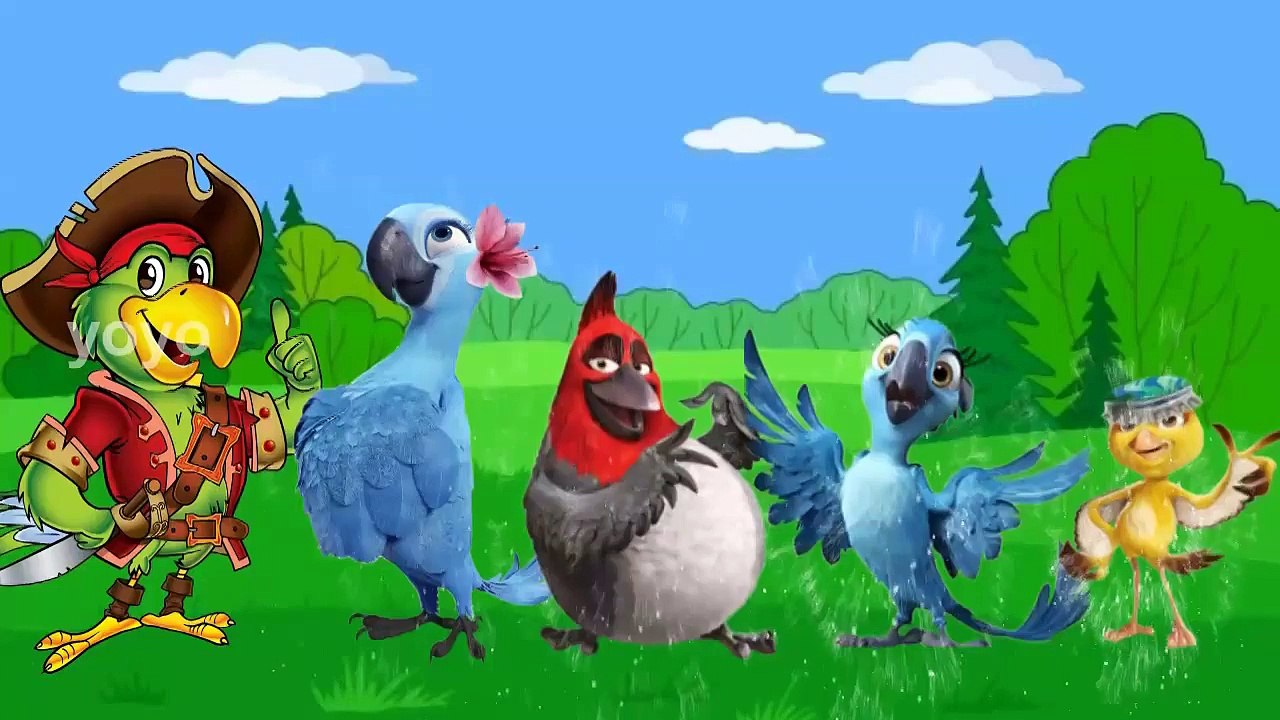 Parrot Finger Family | Rhymes For Kids | Nursery Rhymes | Mother Poems | Children Rhymes