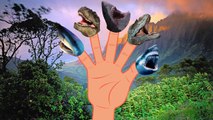 Crazy Dinosaur Vs Crazy Shark Finger Family | Animals Cartoons Finger Family Rhymes