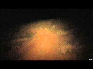 Predator Pursuit with Jeff Thomason - West Texas