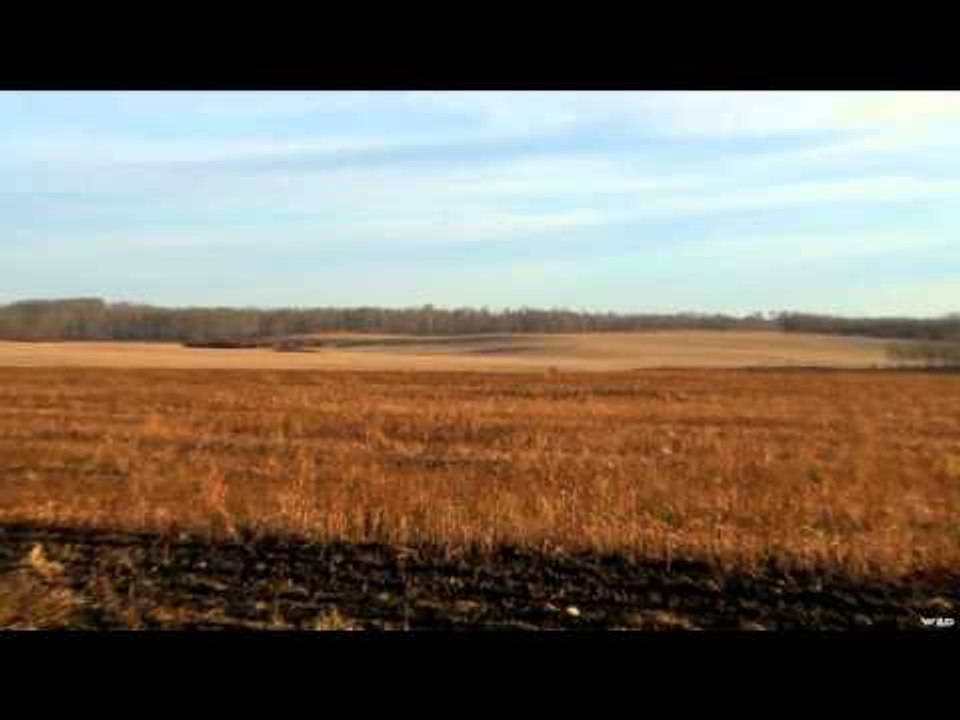 Primos - The Truth About Hunting - Team Primos Hunts Predators