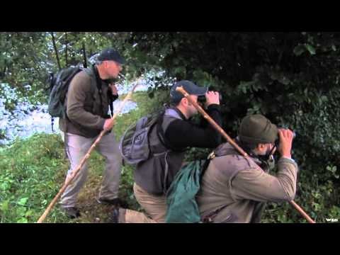 Swarovski Optik Quests with the Eyes of a Hawk - Austrian Alpine Chamois